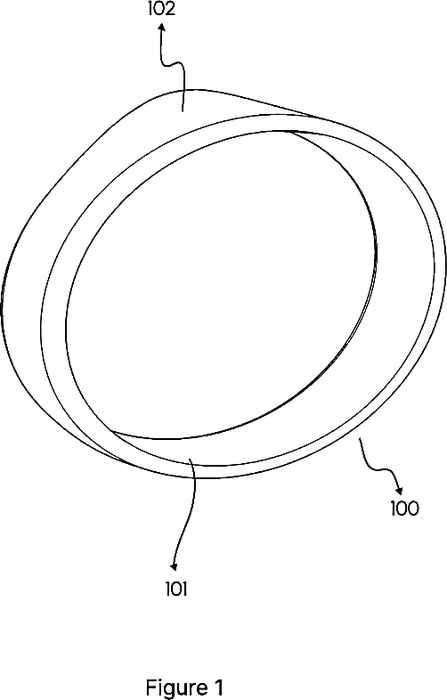 Figure 1: perspective view of the wearable assembly